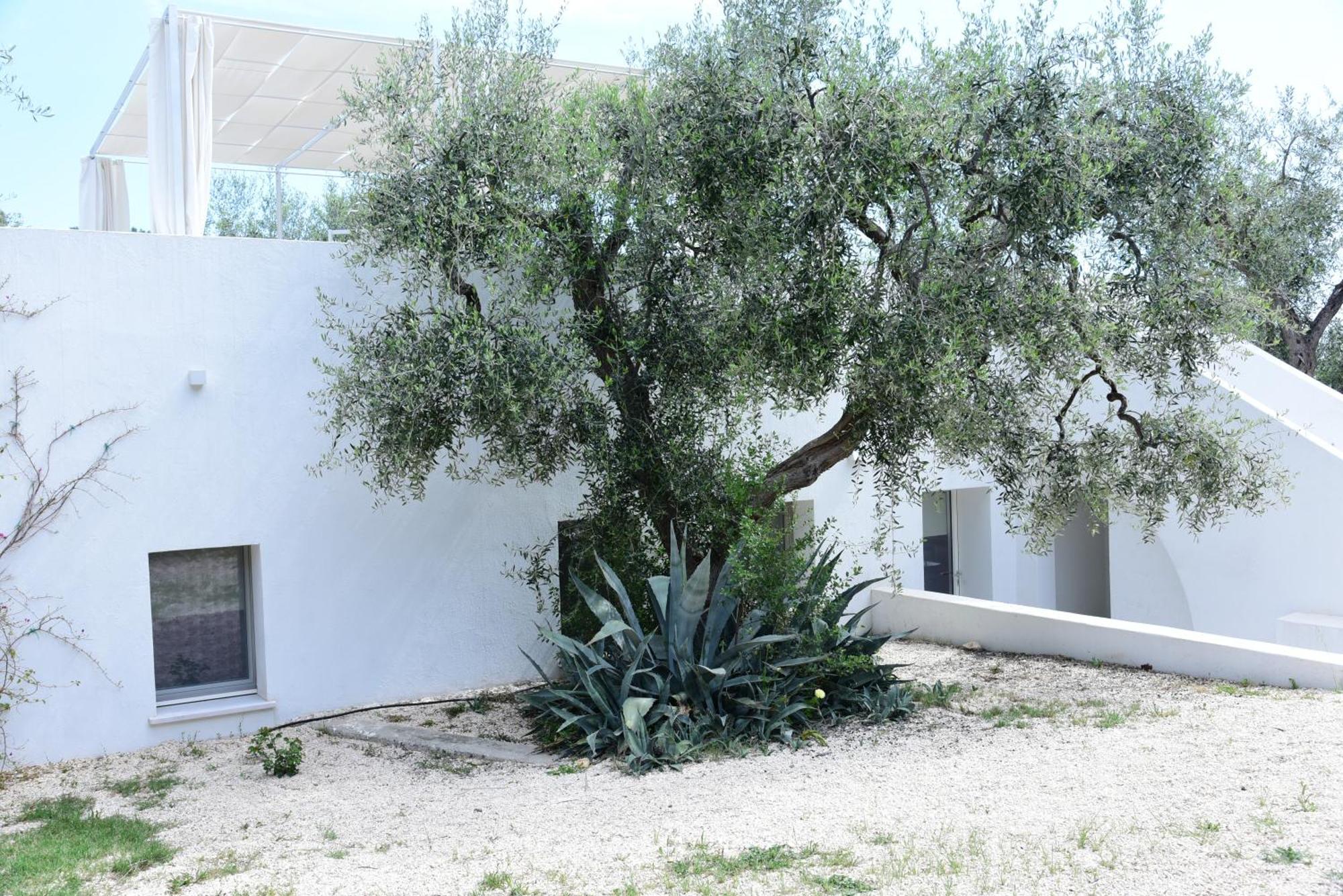 Hmo Glamping & Suites In Vignanotica Mattinata Pokoj fotografie
