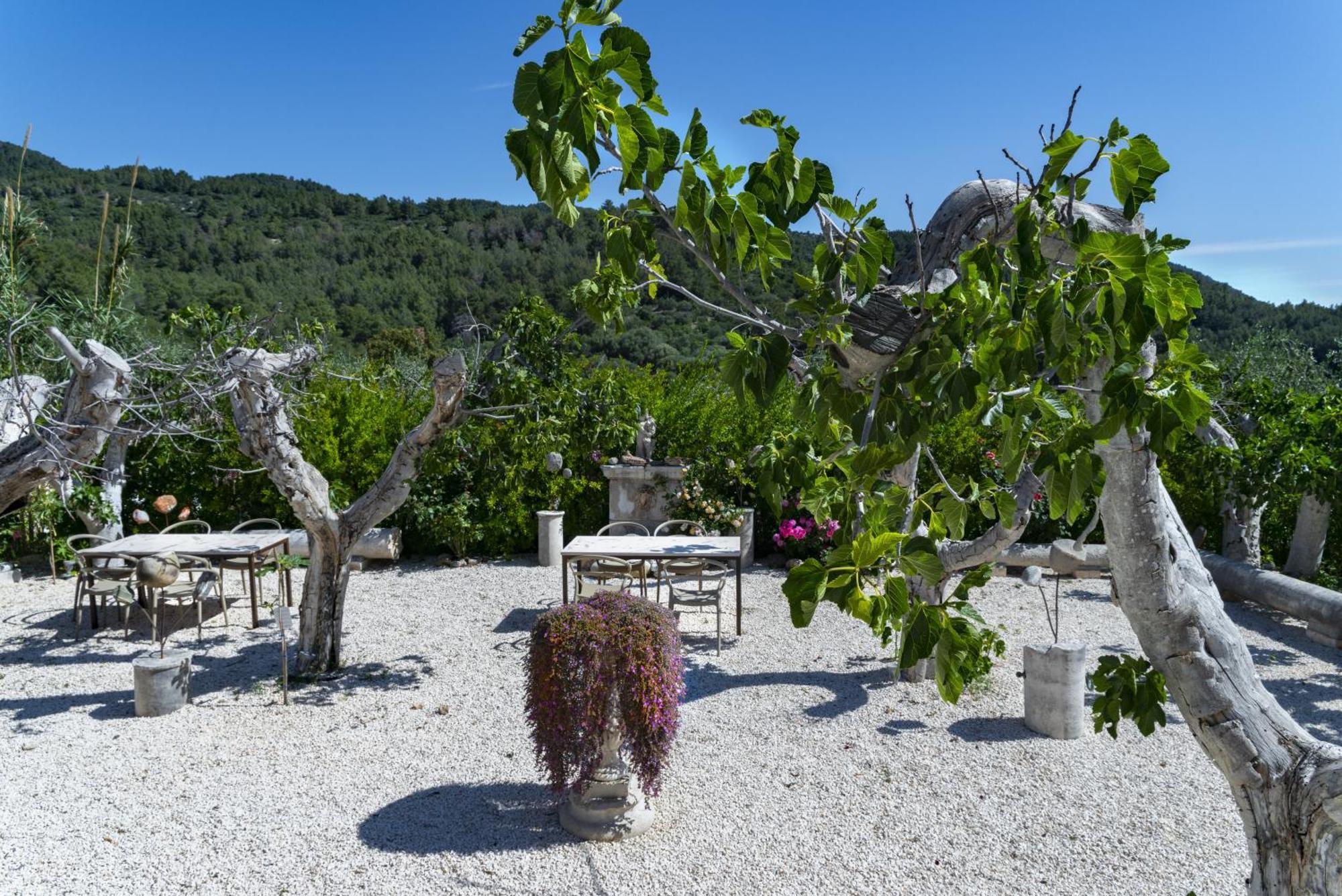 Hmo Glamping & Suites In Vignanotica Mattinata Exteriér fotografie